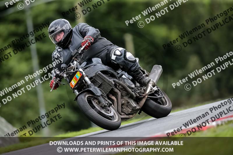 PJ Motorsport 2019;anglesey;brands hatch;cadwell park;croft;donington park;enduro digital images;event digital images;eventdigitalimages;mallory;no limits;oulton park;peter wileman photography;racing digital images;silverstone;snetterton;trackday digital images;trackday photos;vmcc banbury run;welsh 2 day enduro